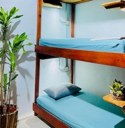 Hostal Holbox Exterior photo